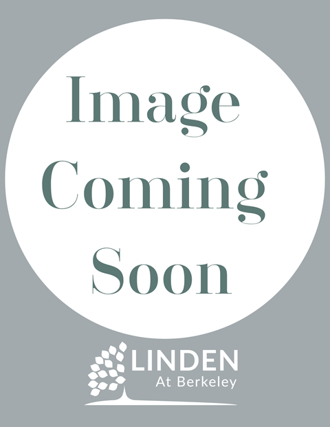 17 Wagley Drive Studio-3 Beds Apartment for Rent - Photo Gallery 12